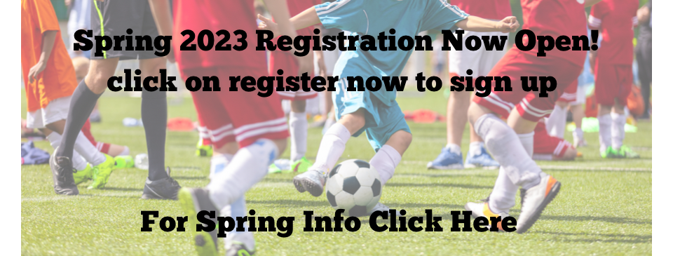 Spring INFO