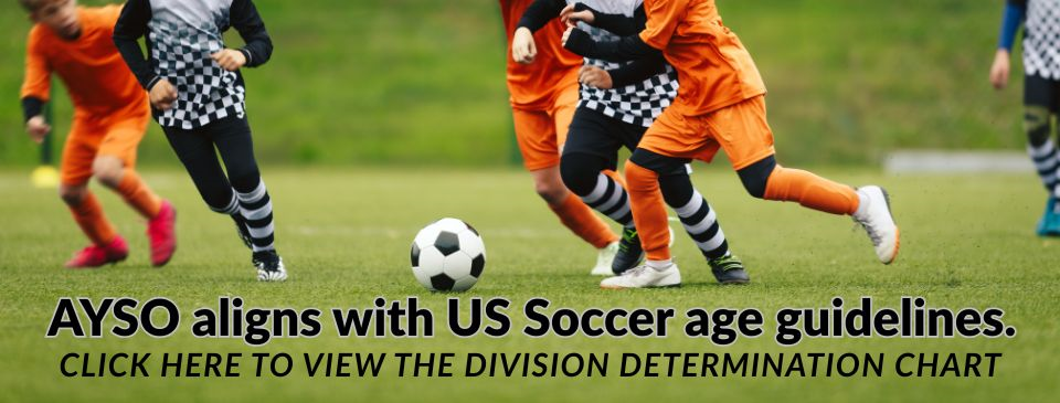 Player Divisions